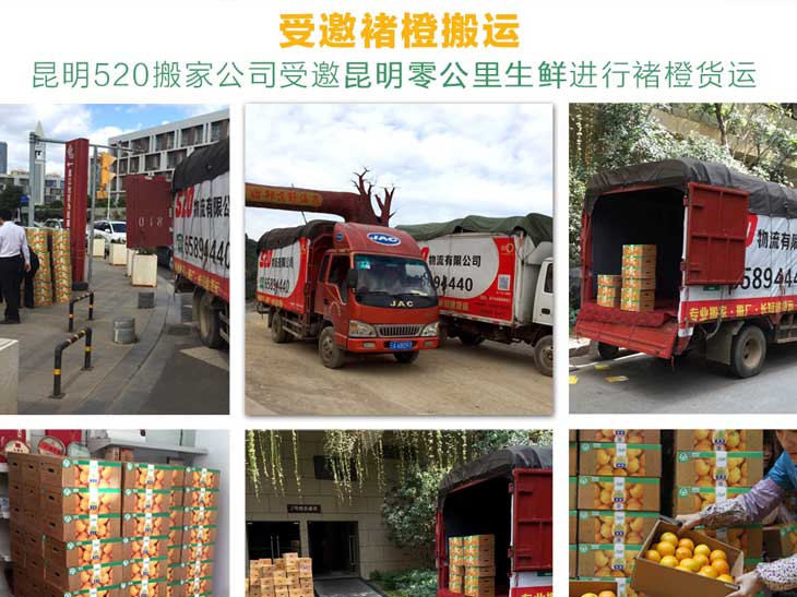 受邀至褚時(shí)健基地空車搬運(yùn)褚橙